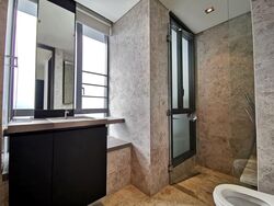 Skysuites@Anson (D2), Apartment #566023251